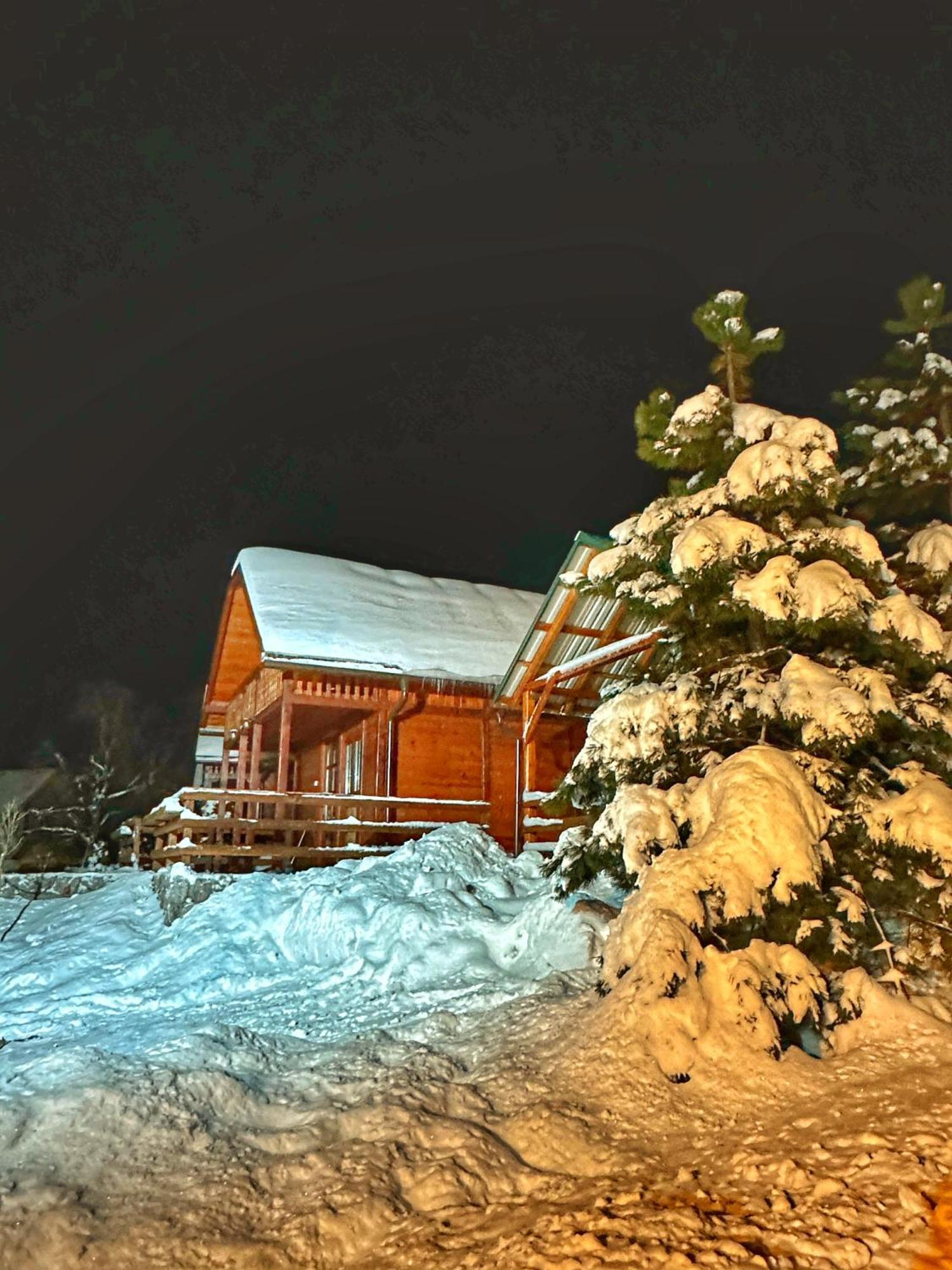 Brvnare Cirkovic Villa Zlatibor Exterior photo