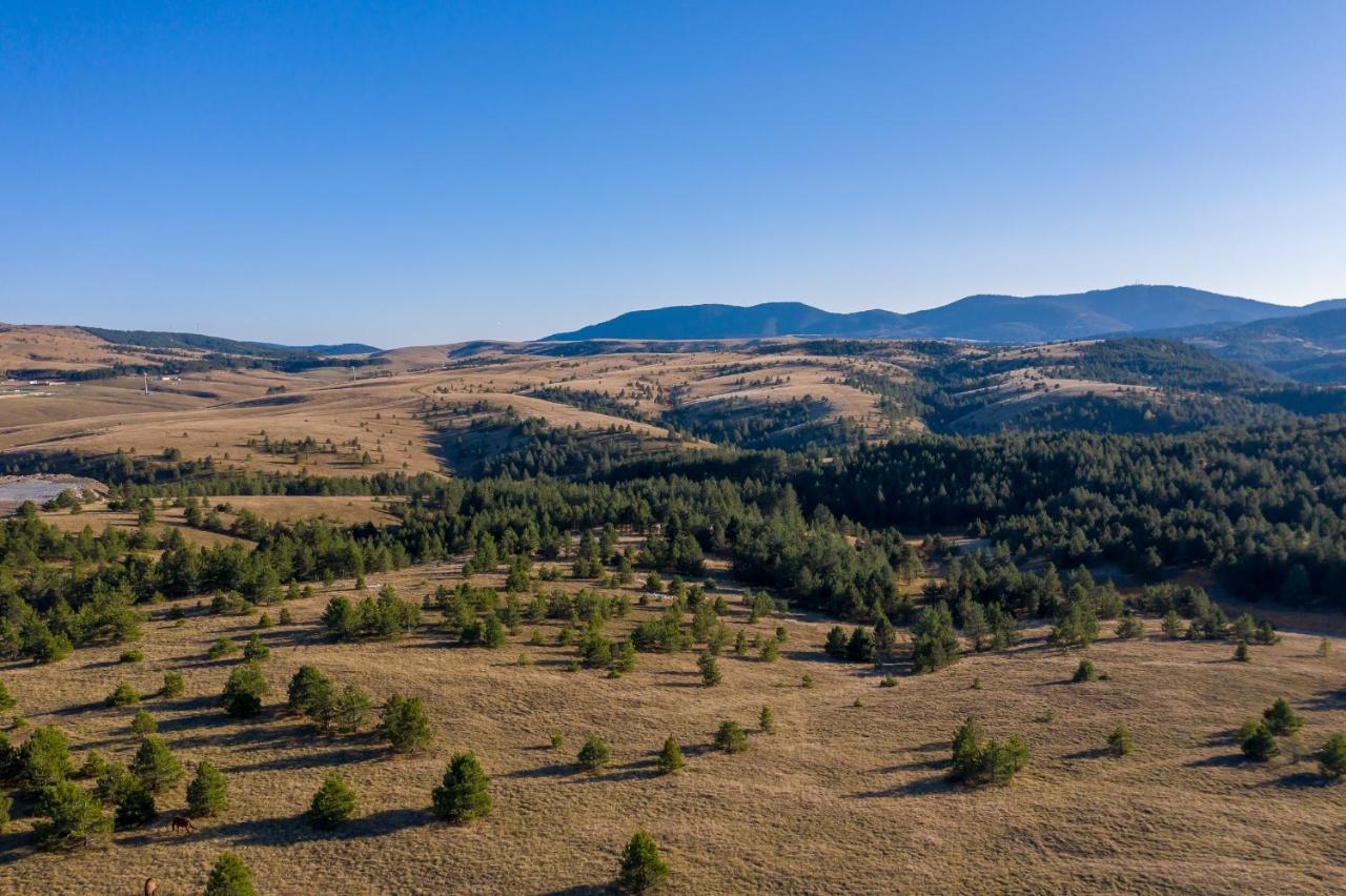 Brvnare Cirkovic Villa Zlatibor Exterior photo